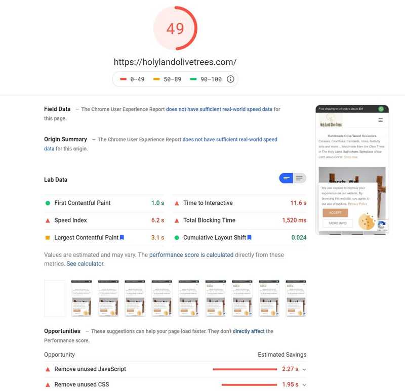 Google PageSpeed Insights Score for Mobile